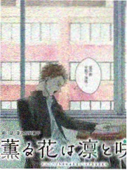 红果漫剧完结样本结局格画面